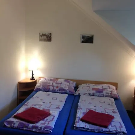 Hotel Minihotel Vitex Praga