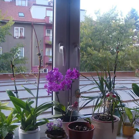 Minihotel Vitex Praga