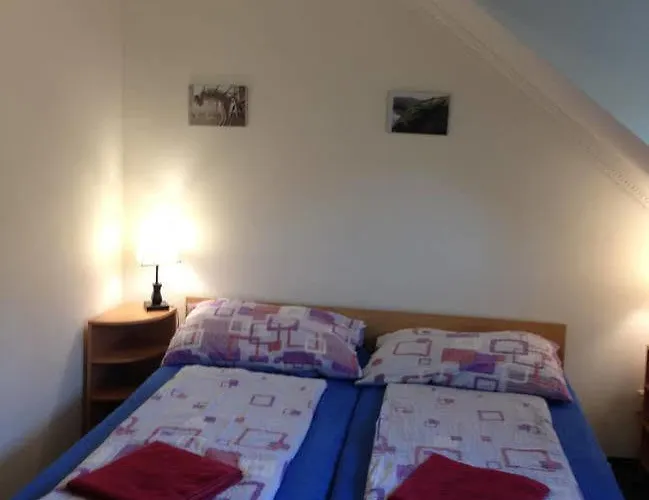 Hotel Minihotel Vitex Praag