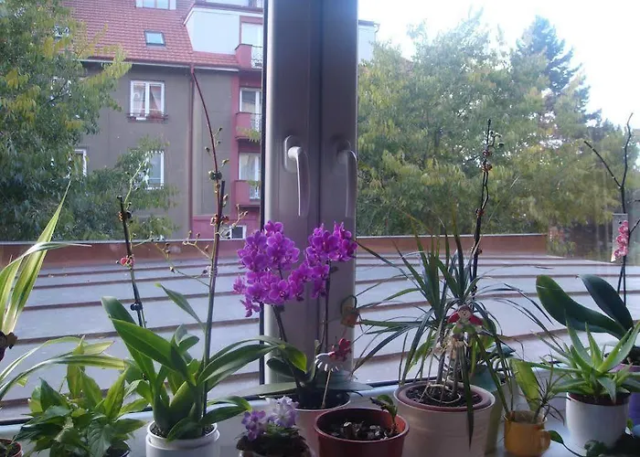 Minihotel Vitex Prag